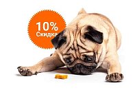 -10% на зоотовары акция в Нижнем Тагиле компании Инженер выгодно