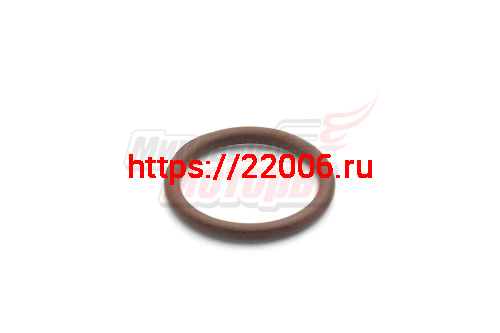 Кольцо уплотнительное распредвала 20х2,5 163FML-2