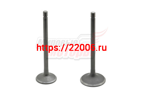 Клапаны (впуск/выпуск) 163FML-2 200см3 (L 90/89, D 32/27)