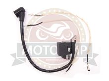 Зажигание Партнер351,350, 352, 371 (5300391-98)